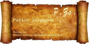 Palicz Zsigmond névjegykártya